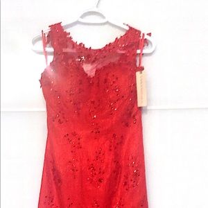 Brand new Evening Dress